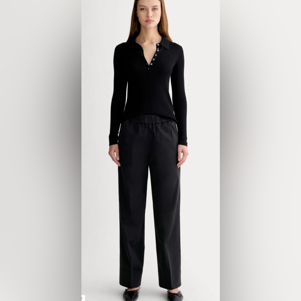 Everlane the Easy Pant in Black Size 10